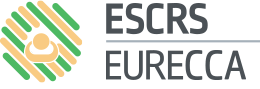 EURECCA Logo